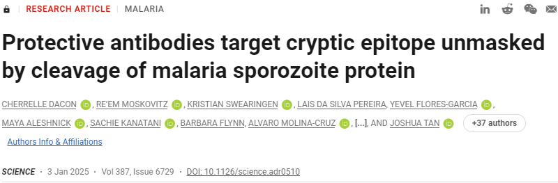 保護性抗體靶向瘧疾子孢子蛋白切割所揭示的隱性表位 保護性抗體靶向瘧疾子孢子蛋白切割所揭示的隱性表位