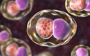 Cell:微生物組的變化預測性傳播疾病的風險