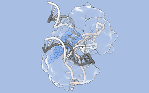 Science:張鋒團(tuán)隊(duì)擴(kuò)大基因組編輯的工具箱