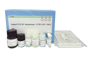 西寶生物隆重推出兩款蛋白酶檢測試劑盒 - 精準檢測,賦能生物制藥質量控制