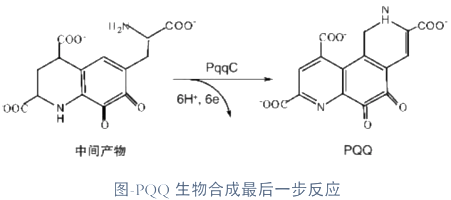 PQQ合成路線