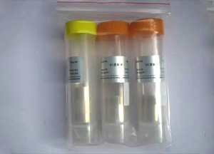經(jīng)濟型透析袋，RC膜，14 KD，扁平寬度77 mm
