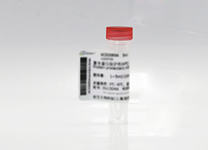 豬腎細胞系；PK15