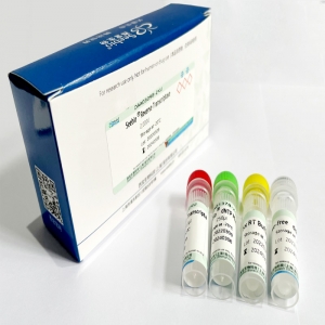 Seebio? sTaq Premix + （SYBR Green II）