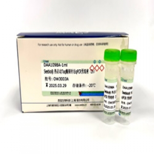 Seebio? 熱啟動(dòng)Taq酶探針法qPCR預(yù)混液(2X)